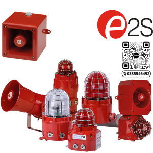 E2S Việt Nam